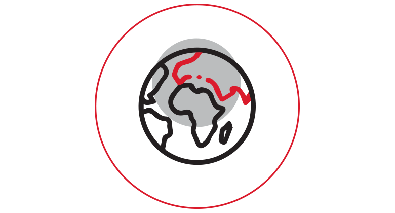 Icon graphic of a globe with black outline and red lines on a grey circle, surrounded by a red ring.