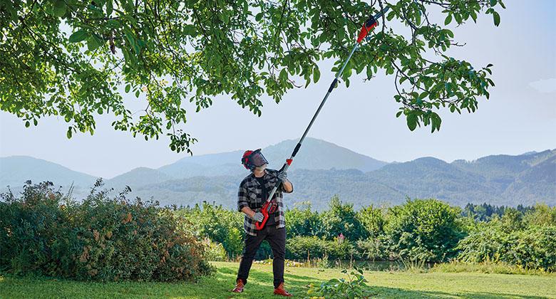 man cutting branches with pole saw